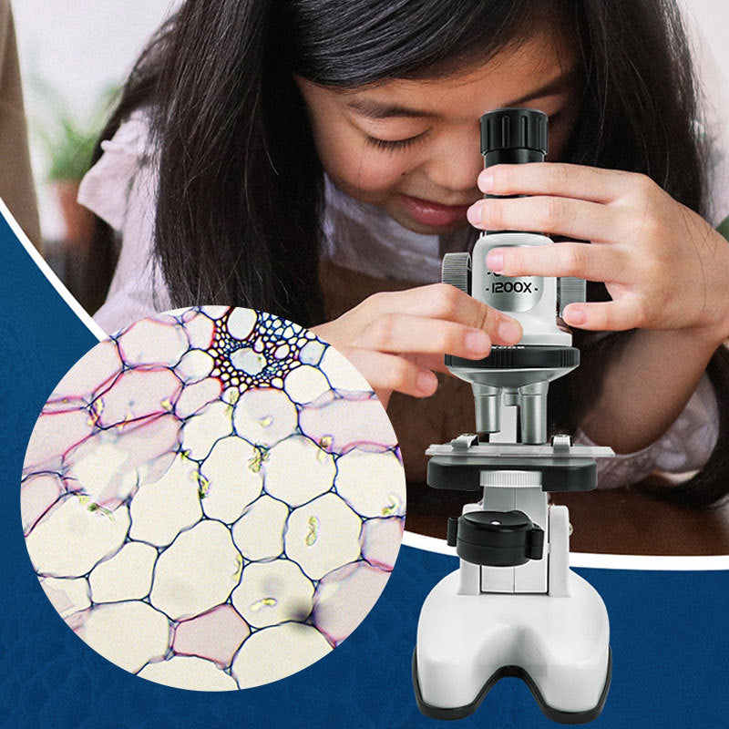 MicroQuest 1200X – Kids’ Science Microscope Toy Set