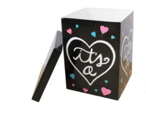 Gender Reveal Mystery Balloon Carton – Surprise Box for Boy or Girl Party Decorations