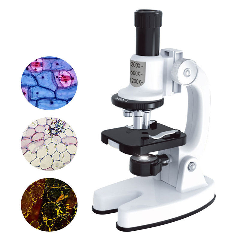 MicroQuest 1200X – Kids’ Science Microscope Toy Set
