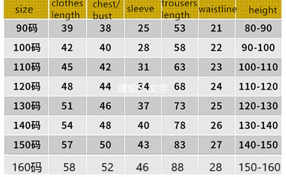 Boys' and Girls' Fashionable Sports Sweater Set – Trendy Children's Clothing for Spring & Autumn