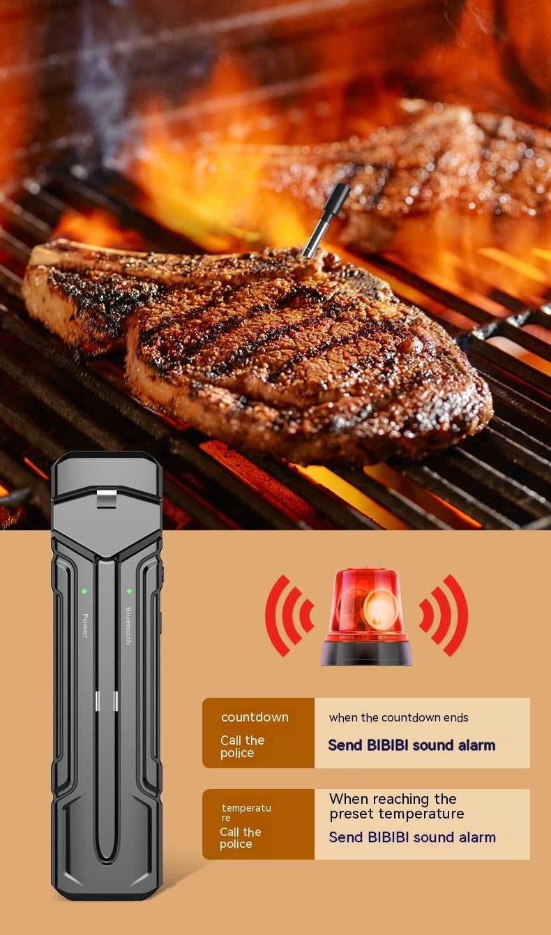 TempMate Pro – Wireless Kitchen Oven Thermometer