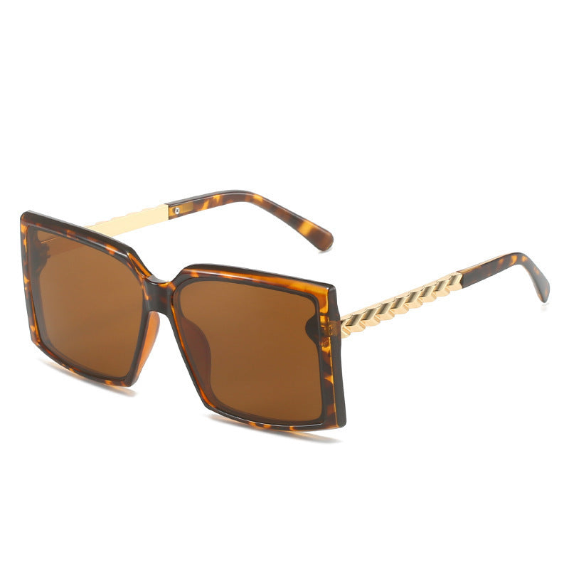 Catwalk-Inspired Light Luxury Sunglasses – Simple, Stylish Fashion Eyewear