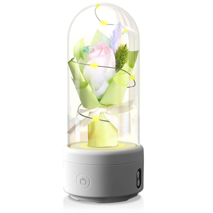 Mother’s Day Gifts – LED Rose Bouquet with Bluetooth Speaker in Glass Dome